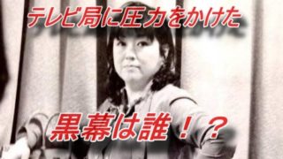 藤島ジュリー景子